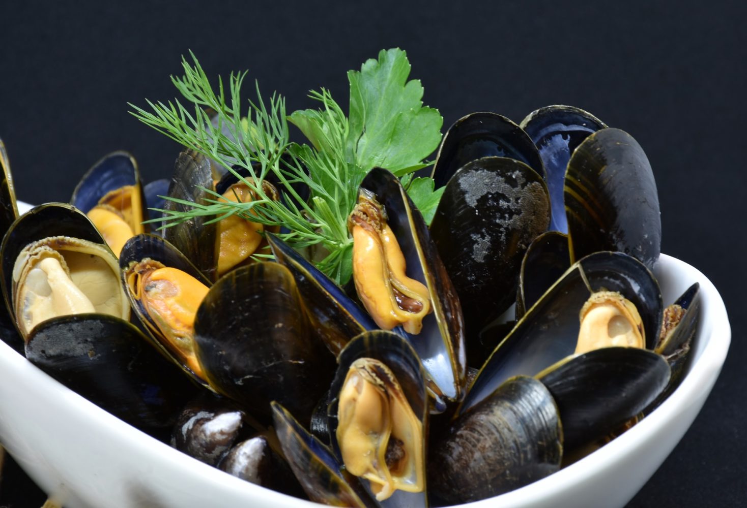 moules - Alain Audineau ostreiculteur moules