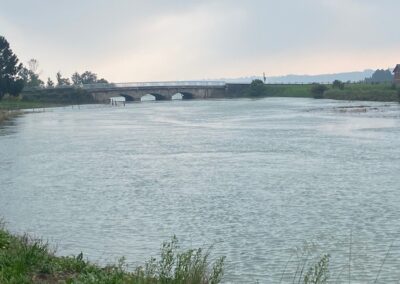 IMG_2400-400x284