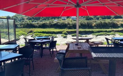 Vendredi-15-aout-Le-Bistrot-Za-Huitres-sera-ouvert-1-122196980306288953-400x250 - Alain Audineau ostreiculteur Vendredi-15-aout-Le-Bistrot-Za-Huitres-sera-ouvert-1-122196980306288953-400x250