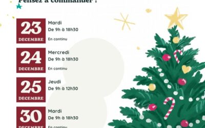 Les-fetes-de-fin-dannee-approchent-Vous-pouvez-1-122213907158288953-400x250 - Alain Audineau ostreiculteur Les-fetes-de-fin-dannee-approchent-Vous-pouvez-1-122213907158288953-400x250